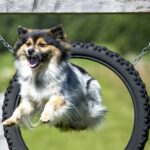 Camping Olachgut - Bild 8 Camping Olachgut - Bild 8