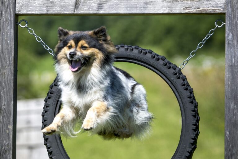 Camping Olachgut - Bild 8 Camping Olachgut - Bild 8