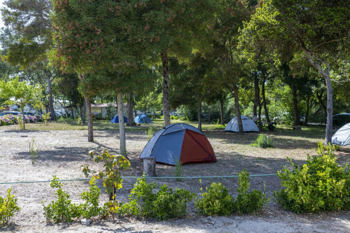 Camping Orbitur Mira - Bild 7 Camping Orbitur Mira - Bild 7