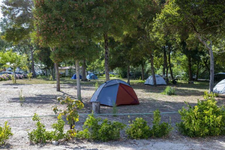 Camping Orbitur Mira - Bild 7 Camping Orbitur Mira - Bild 7