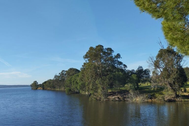 Camping Orbitur Montargil - Bild 15