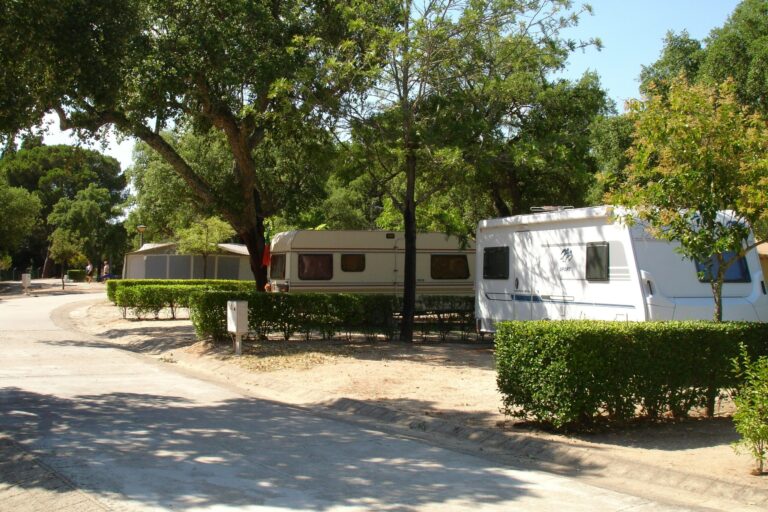 Camping Orbitur Montargil - Bild 6