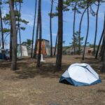 Camping Orbitur São Jacinto - Bild 11 Camping Orbitur São Jacinto - Bild 11