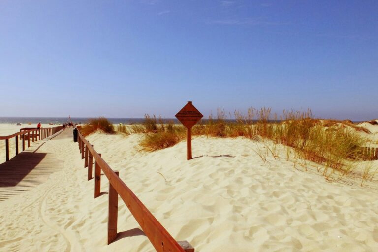 Camping Orbitur São Jacinto - Bild 17 Camping Orbitur São Jacinto - Bild 17