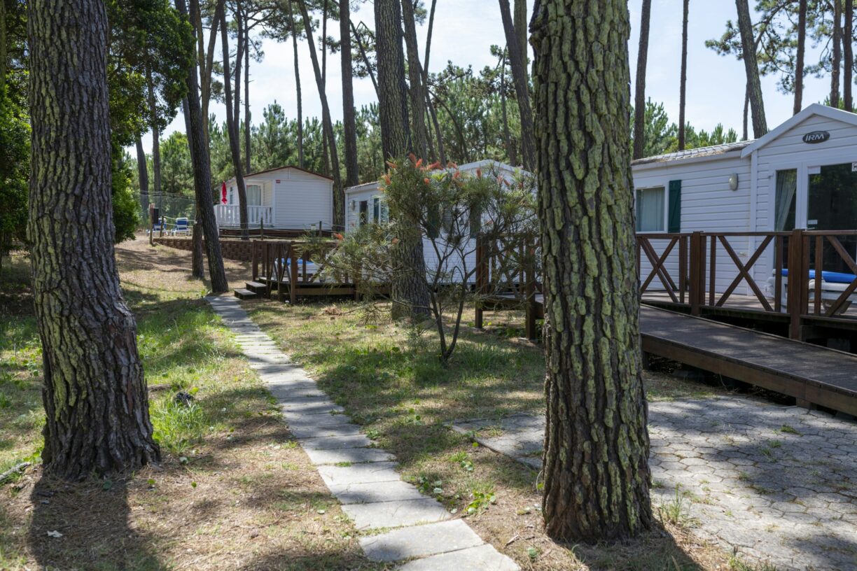 Camping Orbitur São Jacinto - Bild 4 Camping Orbitur São Jacinto - Bild 4