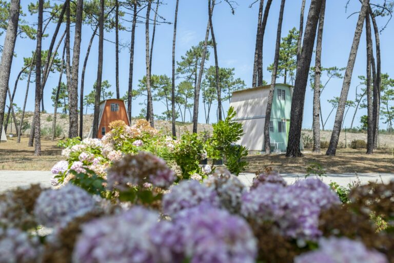 Camping Orbitur São Jacinto - Bild 6 Camping Orbitur São Jacinto - Bild 6