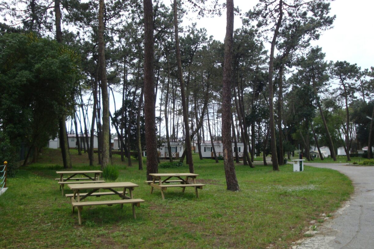 Camping Orbitur São Jacinto - Bild 8 Camping Orbitur São Jacinto - Bild 8