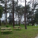 Camping Orbitur São Jacinto - Bild 8 Camping Orbitur São Jacinto - Bild 8