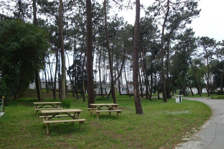 Camping Orbitur São Jacinto - Bild 8 Camping Orbitur São Jacinto - Bild 8