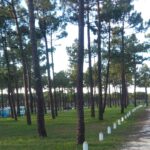 Camping Orbitur Sitava Milfontes - Bild 6