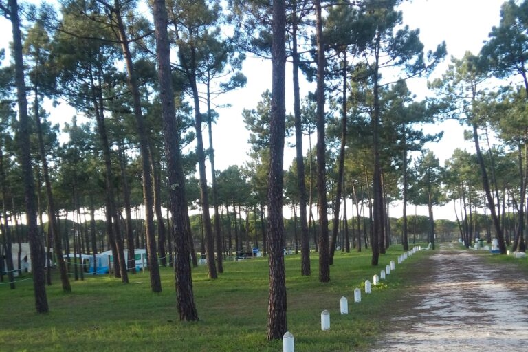 Camping Orbitur Sitava Milfontes - Bild 6