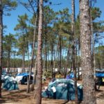 Camping Orbitur Vagueira - Bild 8 Camping Orbitur Vagueira - Bild 8