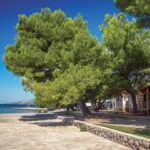 Camping Paklenica - Bild 4