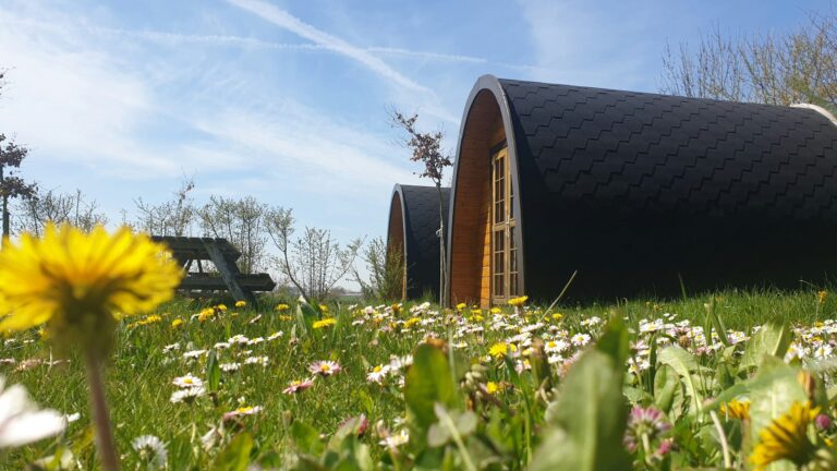 Camping Paradies Franken - Bild 7 Camping Paradies Franken - Bild 7