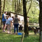 Camping Paradis Domaine De Bellevue - Bild 14