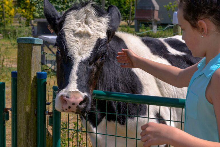 Camping Paradis Utah Beach - Bild 13