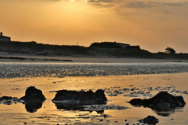 Camping Paradis Utah Beach - Bild 15