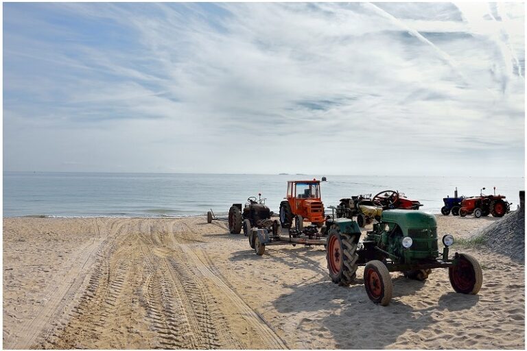 Camping Paradis Utah Beach - Bild 16