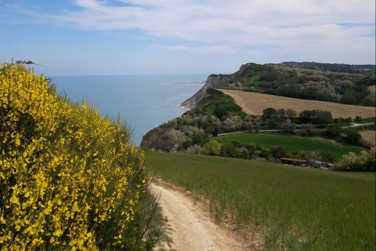 Camping Paradiso - Bild 4