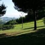 Camping Paradiso - Bild 7