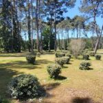 Camping Parc Du Val De L'eyre - Bild 3