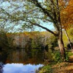 Camping Parc Du Val De L'eyre - Bild 8