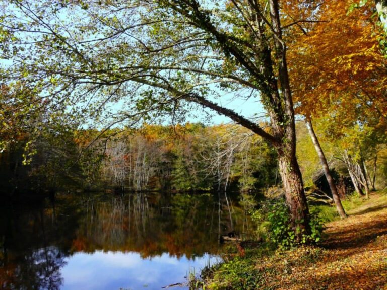 Camping Parc Du Val De L'eyre - Bild 8