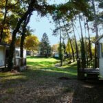 Camping Parc Du Val De L'eyre - Bild 9