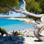 Camping Pascalounet - Bild 10