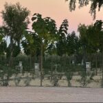 Camping Peñiscola - Bild 3