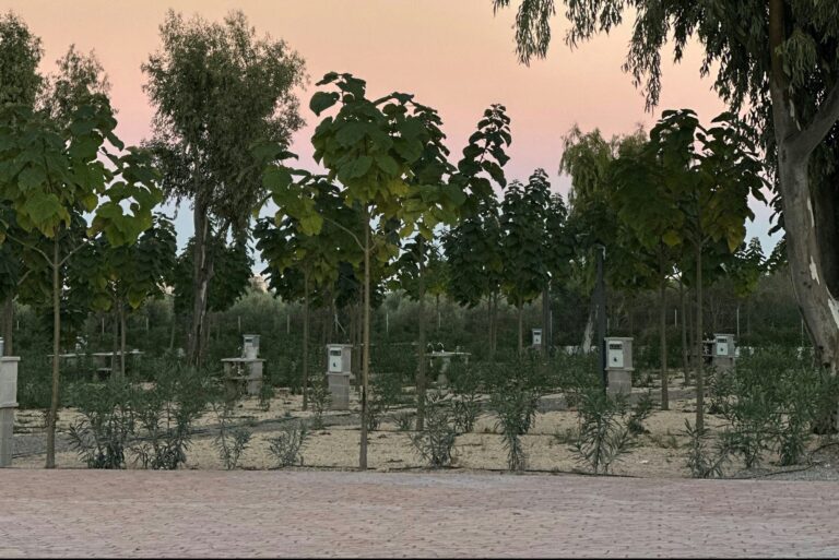 Camping Peñiscola - Bild 3