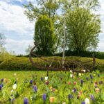 Camping & Pension Au An Der Donau - Bild 10