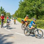 Camping & Pension Au An Der Donau - Bild 12