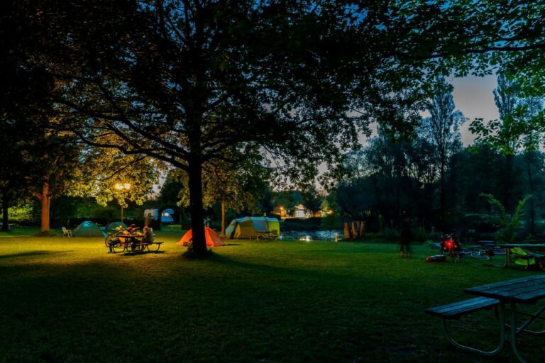 Camping & Pension Au An Der Donau - Bild 17