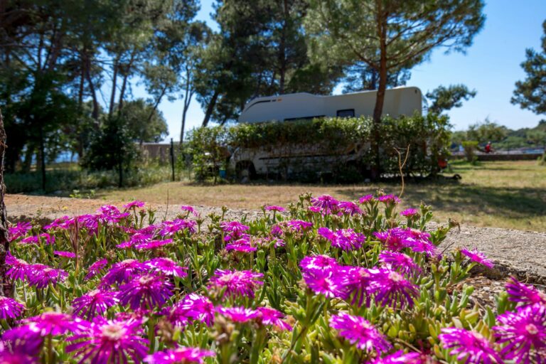 Camping Pila - Bild 11