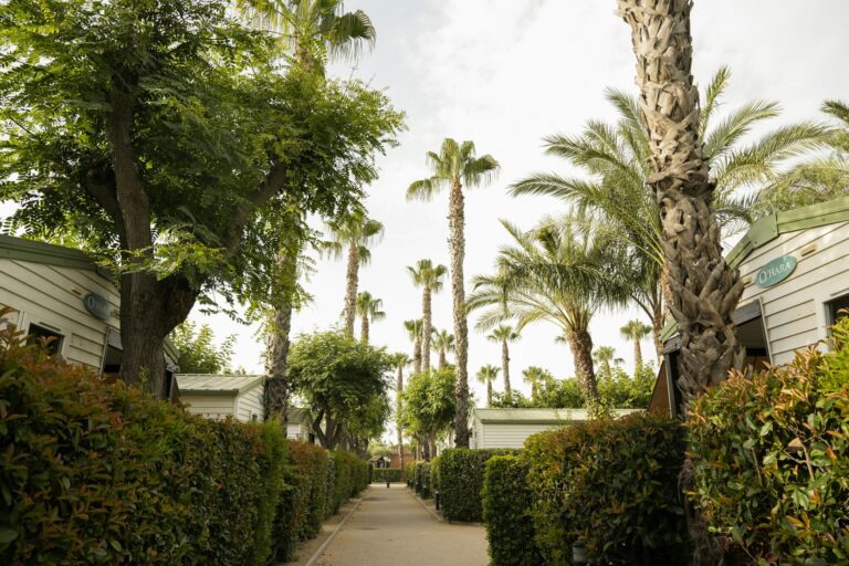 Camping Platja Cambrils - Bild 5