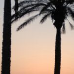 Camping Playa De Poniente - Bild 6