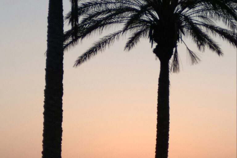 Camping Playa De Poniente - Bild 6