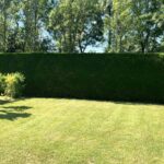 Camping Plein Sud - Bild 11 Camping Plein Sud - Bild 11