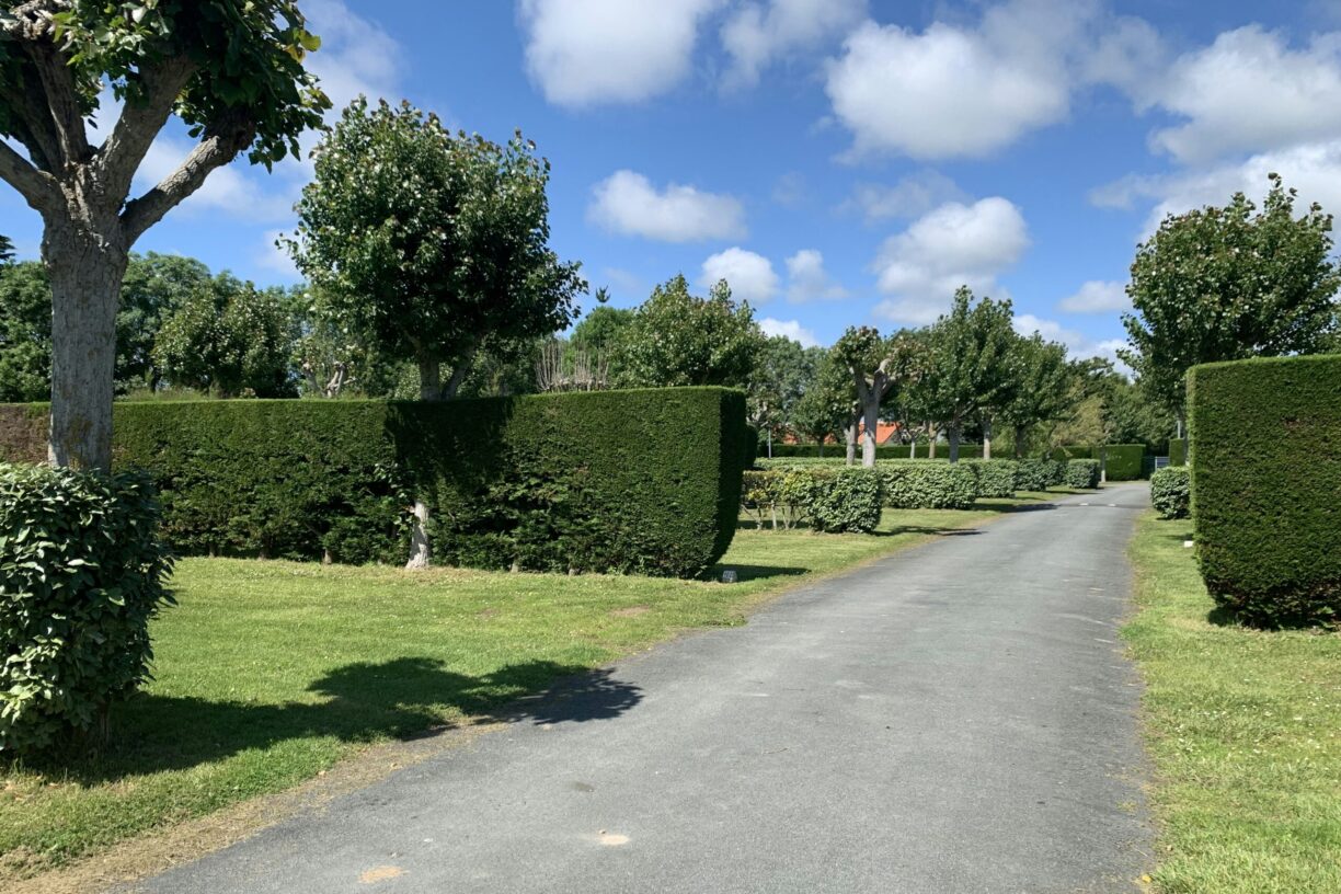 Camping Plein Sud - Bild 4 Camping Plein Sud - Bild 4