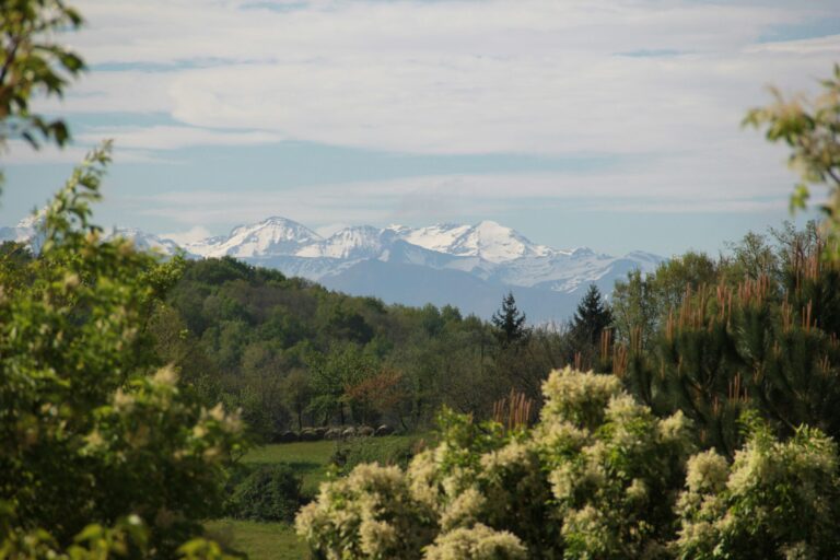 Camping Pré Fixe - Bild 2