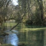 Camping Puente De Las Herrerias - Bild 2