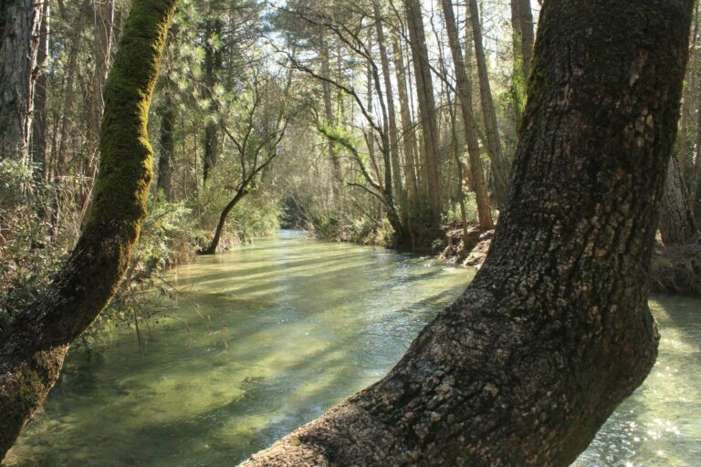 Camping Puente De Las Herrerias - Bild 5