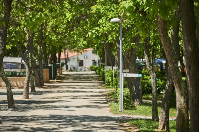 Camping Puntica - Bild 3 Camping Puntica - Bild 3