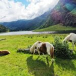 Camping Pyrénées Natura - Bild 11 Camping Pyrénées Natura - Bild 11