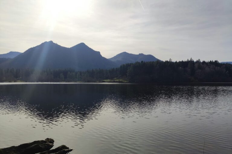 Camping Pyrénées Natura - Bild 16 Camping Pyrénées Natura - Bild 16