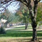 Camping Quercy Vacances - Bild 9