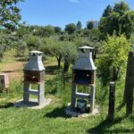 Camping Quinta Da Cerejeira - Bild 11 Camping Quinta Da Cerejeira - Bild 11