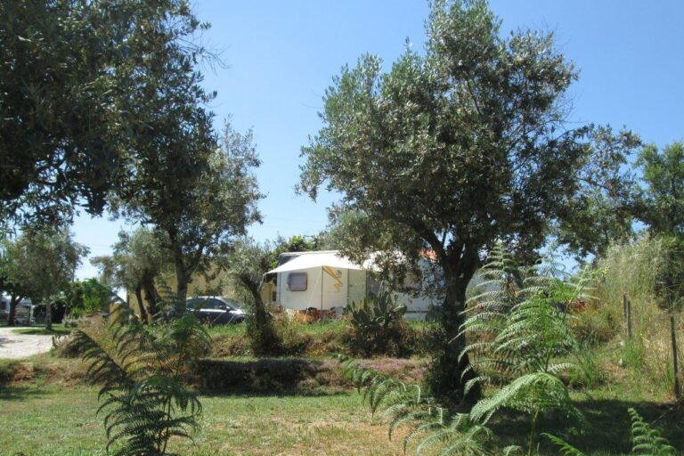 Camping Quinta Da Cerejeira - Bild 14 Camping Quinta Da Cerejeira - Bild 14