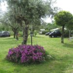 Camping Quinta Da Cerejeira - Bild 15 Camping Quinta Da Cerejeira - Bild 15